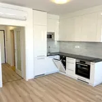 Rent 1 bedroom apartment in Brno