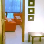 Rent a room in madrid