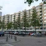 Rent 3 bedroom apartment of 100 m² in Amsterdam