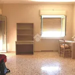 Rent 4 bedroom apartment of 110 m² in Palermo