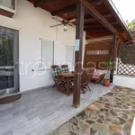 Rent 3 bedroom house of 50 m² in Olbia