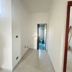 Rent 2 bedroom apartment of 50 m² in Palermo