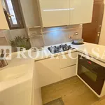 Rent 2 bedroom apartment of 50 m² in Rome