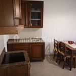 Rent 3 bedroom apartment of 45 m² in Ravenna