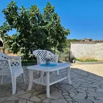 Rent 3 bedroom house of 100 m² in Trappeto