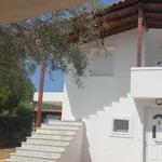 Rent 2 bedroom house of 110 m² in Anavissos Municipal Unit