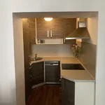 Rent 1 bedroom apartment of 59 m² in Prague