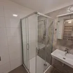 Pronajměte si 2 ložnic/e byt o rozloze 58 m² v Brno