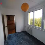 Rent 4 bedroom apartment of 70 m² in budejovice