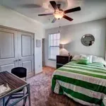 Rent 1 bedroom apartment in Tuscaloosa