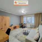 Rent 1 bedroom apartment of 28 m² in Zabrze