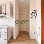 Rent 2 bedroom apartment of 50 m² in Turin