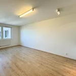 Rent 1 bedroom apartment of 33 m² in Praha