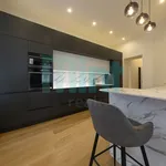 Rent 3 bedroom apartment of 91 m² in Prague