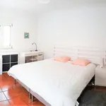 Rent 5 bedroom apartment in Lisbon