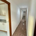 Rent 4 bedroom apartment in alicante