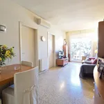 Alquilar 4 dormitorio apartamento en Barcelona