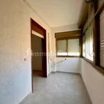 Rent 5 bedroom apartment of 109 m² in Palermo