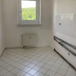 Rent 2 bedroom apartment of 49 m² in Roßwein