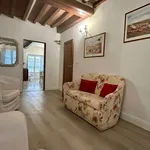 Rent 4 bedroom apartment of 90 m² in FIRENZE