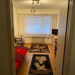 Rent 4 bedroom apartment in Emmen