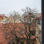 Rent 2 bedroom apartment of 75 m² in Prague