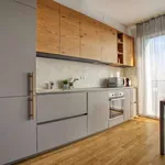 Rent 1 bedroom apartment in milan