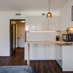 Pronajměte si 1 ložnic/e byt o rozloze 24 m² v Prague