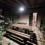 Rent 3 bedroom house of 90 m² in Castelfiorentino