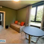 Rent 2 bedroom apartment of 60 m² in Turin