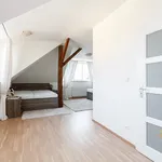 Pronajměte si 6 ložnic/e byt o rozloze 190 m² v Prague