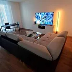 Rent 3 bedroom apartment in Dietikon