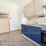 Rent 3 bedroom apartment of 70 m² in České Budějovice