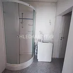 Rent 1 bedroom apartment of 20 m² in Prague