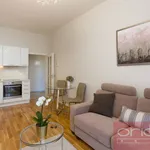 Rent 2 bedroom apartment of 48 m² in Capital City of Prague