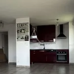 Rent 4 bedroom apartment of 77 m² in Toulouse