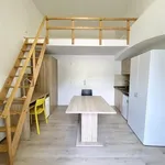 Rent 1 bedroom apartment in Brno