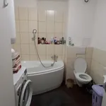 Rent 1 bedroom apartment in Capital City of Prague