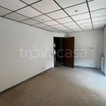 Rent 3 bedroom apartment of 85 m² in Genzano di Roma