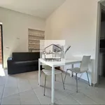 Rent 2 bedroom apartment of 40 m² in Roma