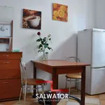 Rent 1 bedroom apartment of 35 m² in Krakow