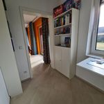 Miete 4 Schlafzimmer wohnung von 145 m² in Meckenheim