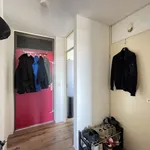 Huur 3 slaapkamer appartement van 74 m² in Erasmuswijk