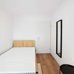 Rent a room of 60 m² in Graz