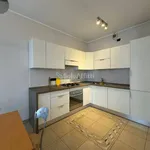 Rent 3 bedroom apartment of 80 m² in Torino