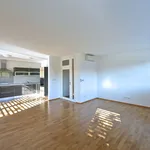 Rent 4 bedroom apartment of 146 m² in Capital City of Prague