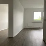 Rent 4 bedroom apartment of 69 m² in Chemnitz