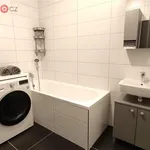 Rent 4 bedroom apartment of 73 m² in Nížkovice