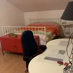 Rent a room in ghent