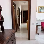 Rent 4 bedroom apartment of 132 m² in Cagliari